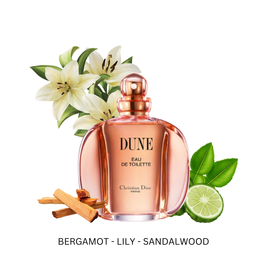 Dune edt best sale